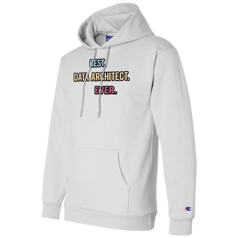 Best Data Architect Ever Nice Gift Idea Champion Hoodie | Artistshot