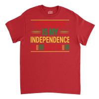 Astronomy Is My Independence Day Cute Classic T-shirt | Artistshot