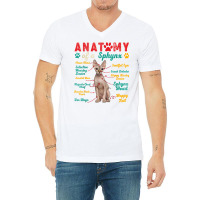 Vintage Anatomy Of A Sphynx Clever Soulful Happy Tails T Shirt V-neck Tee | Artistshot