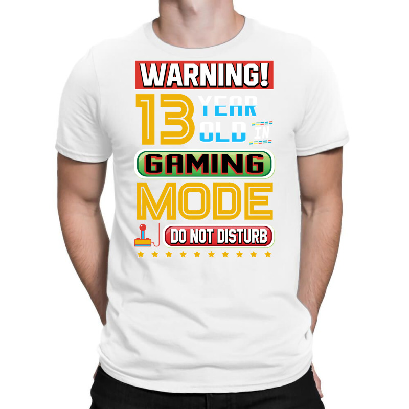 Funny 13th Gamer Birthday 13 Year Old Gaming Gifts T-Shirt by haddoumcshann | Artistshot