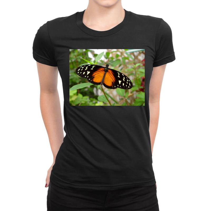 Artistshot Hot Trend Moth Bug Bugs Butterfly Fern Flying Forest Insect Ladies Fitted T-Shirt by brumfieldportillo7vlpq8 | Artistshot