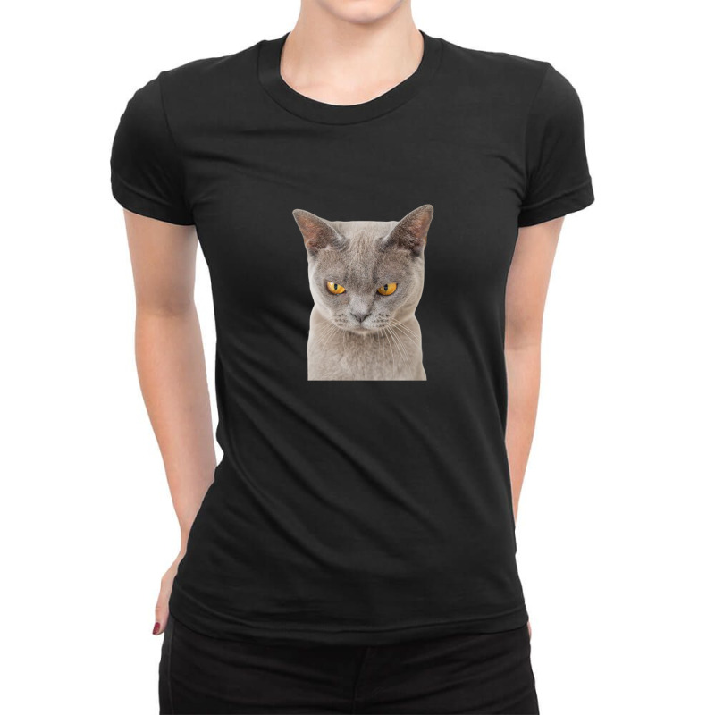 Angry Cat Meme 1 Ladies Fitted T-Shirt by JamesLong | Artistshot