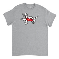 Idaho School For The Deaf And Blind Classic T-shirt | Artistshot