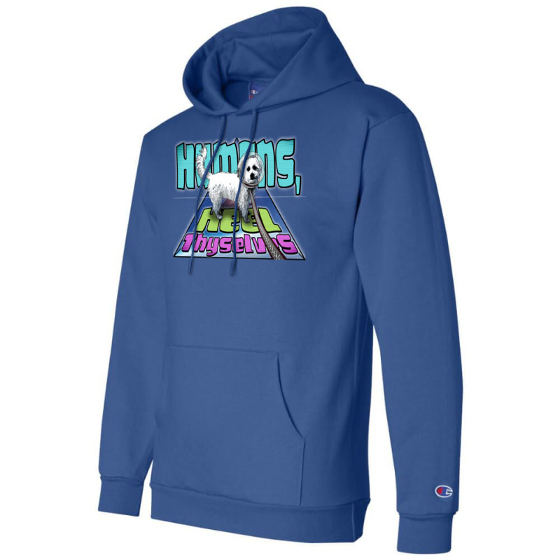 Space Dog Champion Hoodie by rakhamaddixm | Artistshot