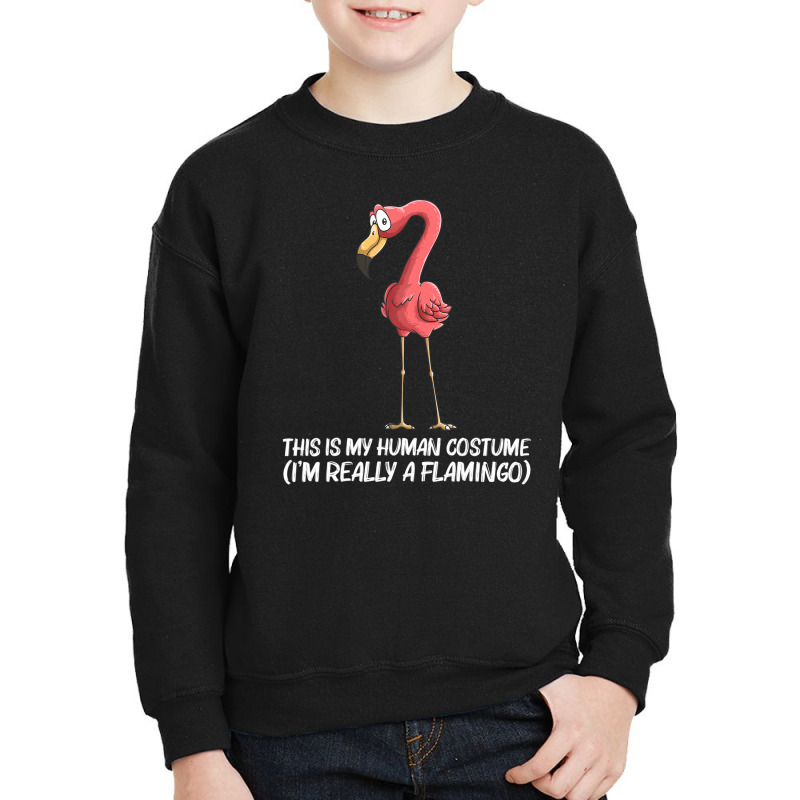 Cool Flamingo For Men Women Ladies Pink Flamingos Bird Flock Youth Sweatshirt | Artistshot