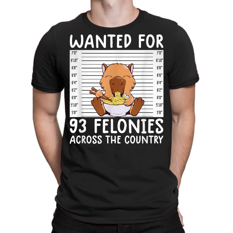 Wanted For 93 Felonies Shirt Funny Capybara Tee Rodent Quote T Shirt T-shirt | Artistshot