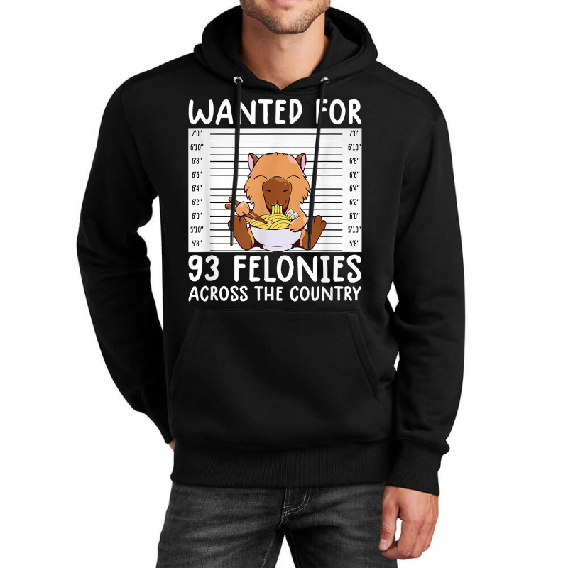 Wanted For 93 Felonies Shirt Funny Capybara Tee Rodent Quote T Shirt Unisex Hoodie | Artistshot