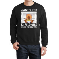 Wanted For 93 Felonies Shirt Funny Capybara Tee Rodent Quote T Shirt Crewneck Sweatshirt | Artistshot