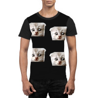 Funny Cat Lawyer Meme Value Pack 4 Graphic T-shirt | Artistshot