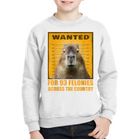 Capybara Mugshot Wanted For 93 Felonies Across The Country T Shirt Youth Sweatshirt | Artistshot