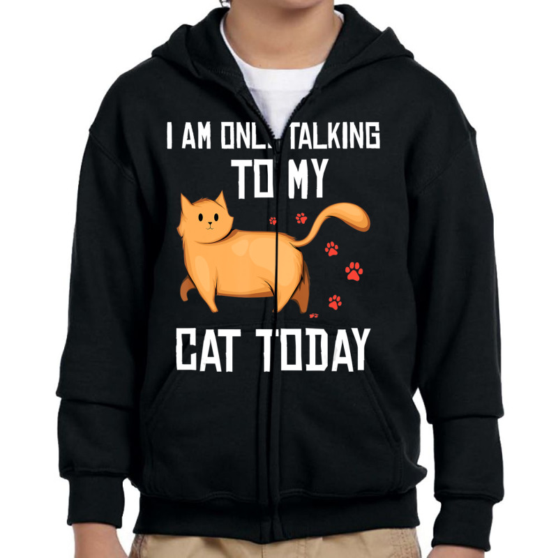 Introvert Cat Lover I Am Only Talking To My Cat Today Youth Zipper Hoodie | Artistshot