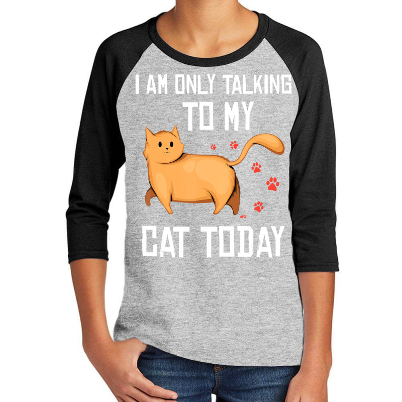 Introvert Cat Lover I Am Only Talking To My Cat Today Youth 3/4 Sleeve | Artistshot