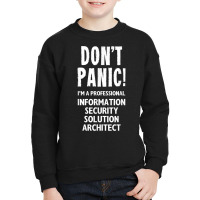 Information Security Solution Architect T Shirt Youth Sweatshirt | Artistshot