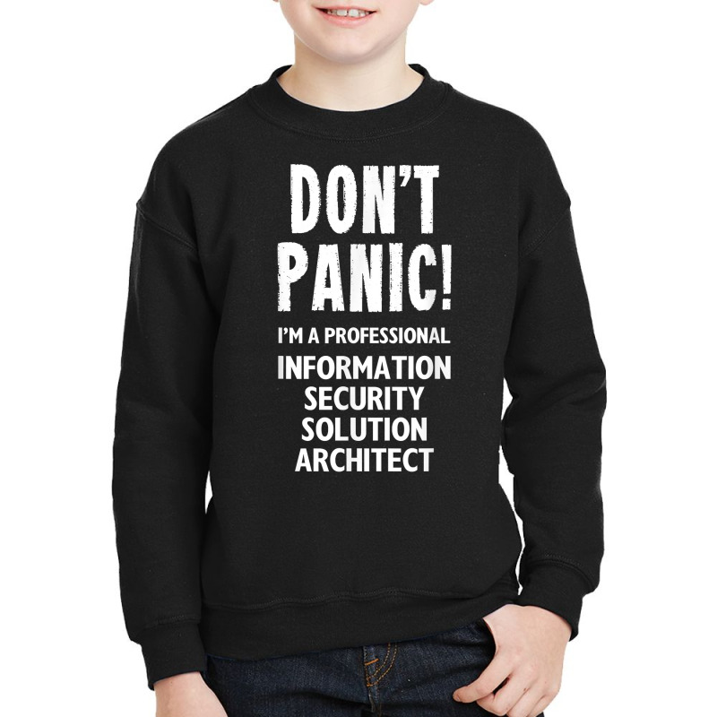 Information Security Solution Architect T Shirt Youth Sweatshirt by latodorjnb | Artistshot