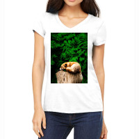 Fox Women's V-neck T-shirt | Artistshot
