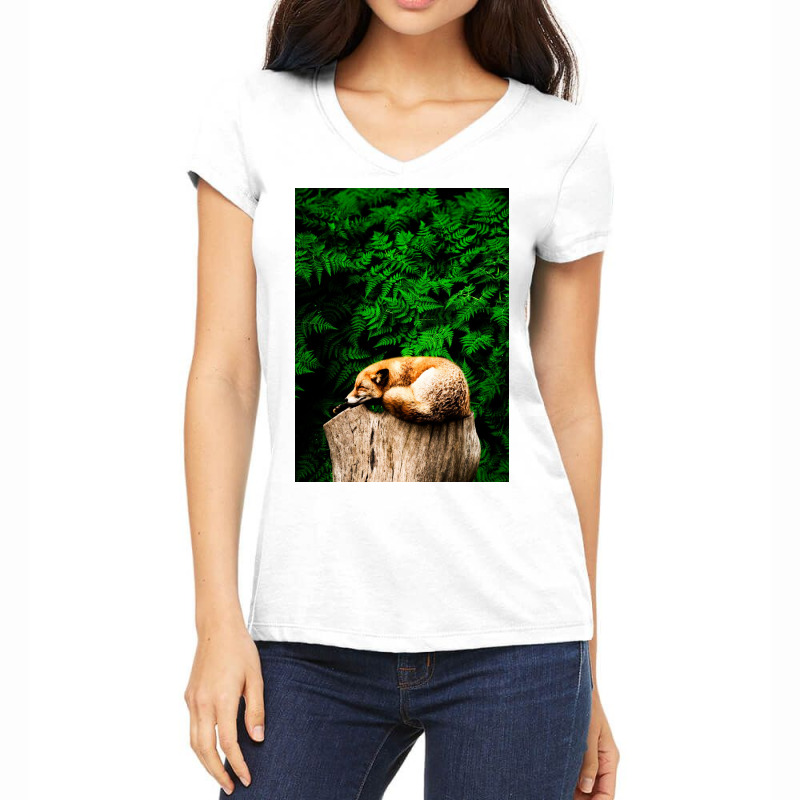 Fox Women's V-neck T-shirt | Artistshot