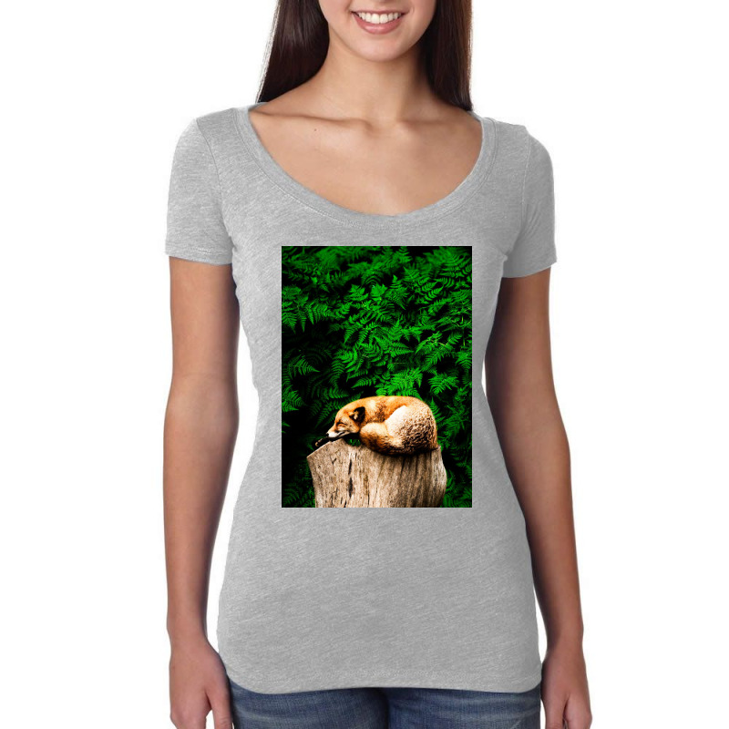 Fox Women's Triblend Scoop T-shirt | Artistshot