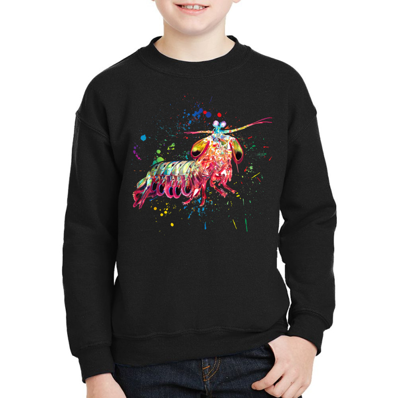 Mantis Shrimp Shirt Watercolor Fish Salt Water Aquarium T Shirt Youth Sweatshirt | Artistshot