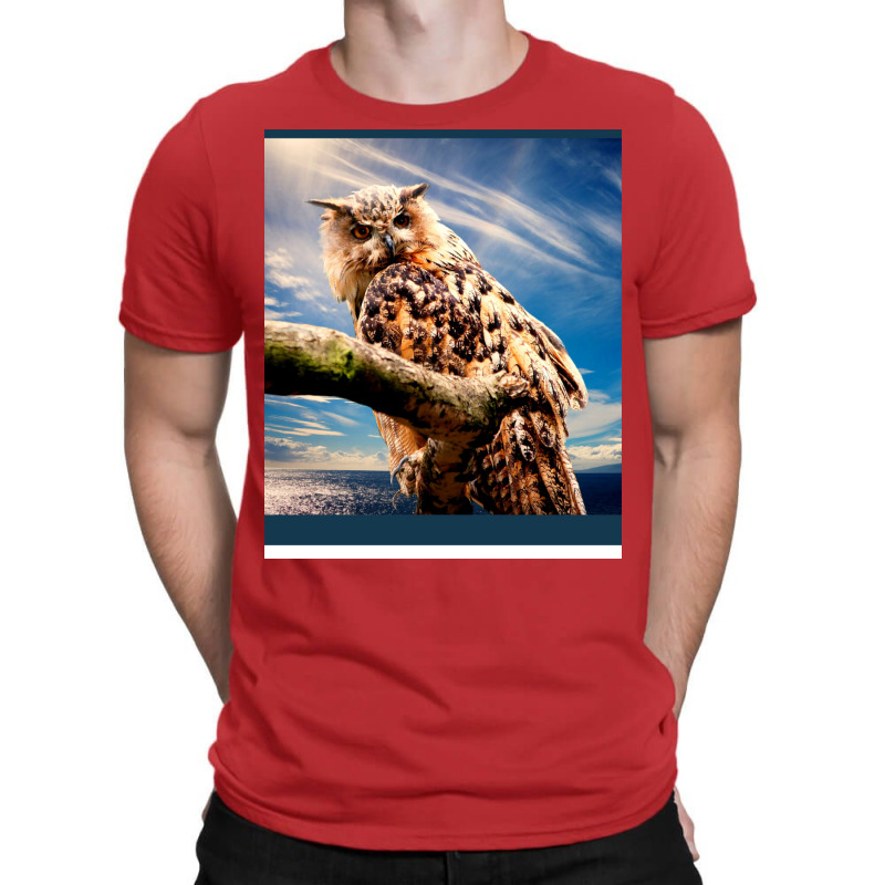 Enigmatic Owl. Birds. T-Shirt by sounyariniow | Artistshot