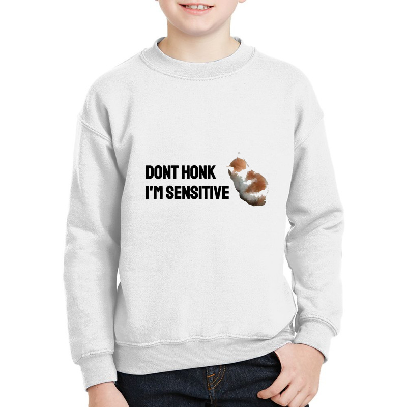 Dont Honk Im Sensitive Youth Sweatshirt by Timothy90 | Artistshot