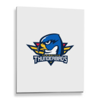 The Springfield ,thunderbirds Metal Print Vertical | Artistshot