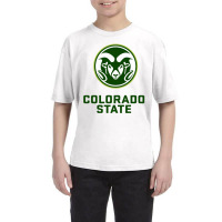 Colorado State Youth Tee | Artistshot