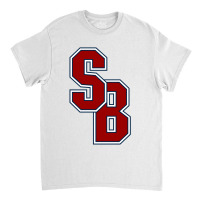 Stony. Brook. Seawolves. Wordmark. Classic T-shirt | Artistshot