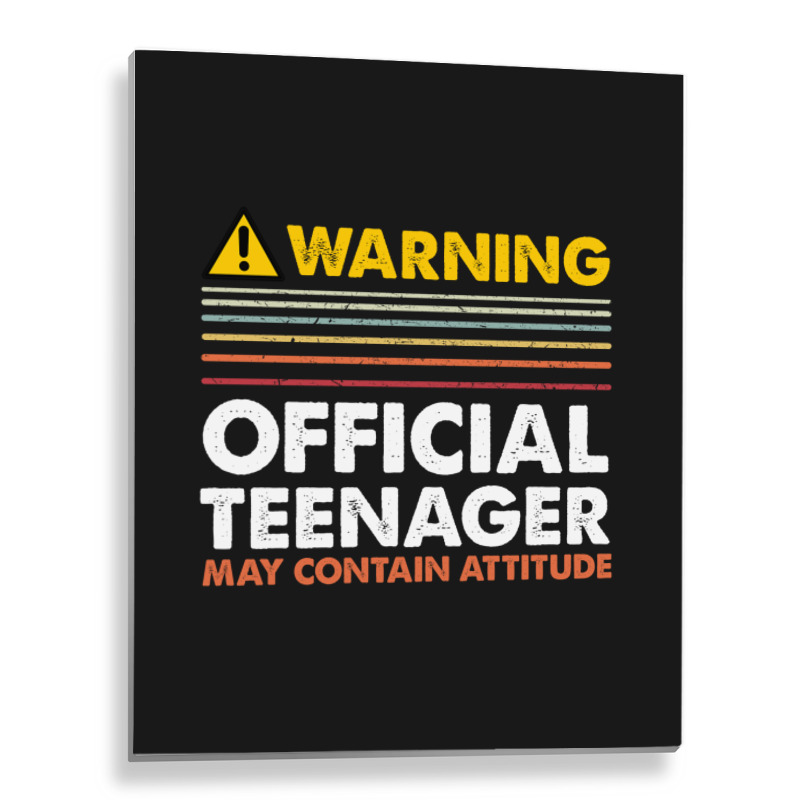 13 Birthday Official Teenager Boy Metal Print Vertical | Artistshot