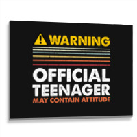 13 Birthday Official Teenager Boy Metal Print Horizontal | Artistshot