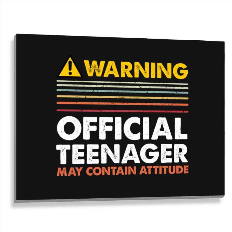 13 Birthday Official Teenager Boy Metal Print Horizontal | Artistshot