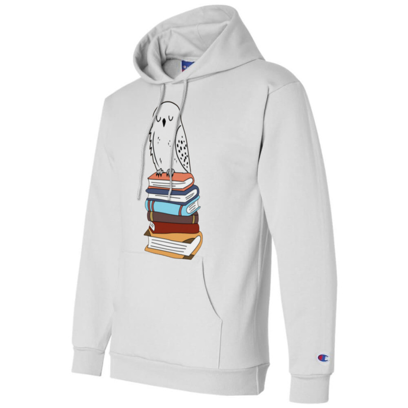 Magic Owl On Books 3 Champion Hoodie by didwaycarw | Artistshot