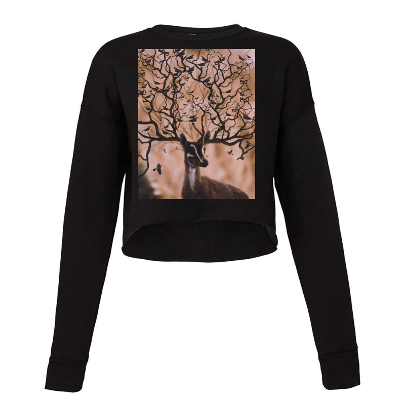 Gazelle Cropped Sweater | Artistshot