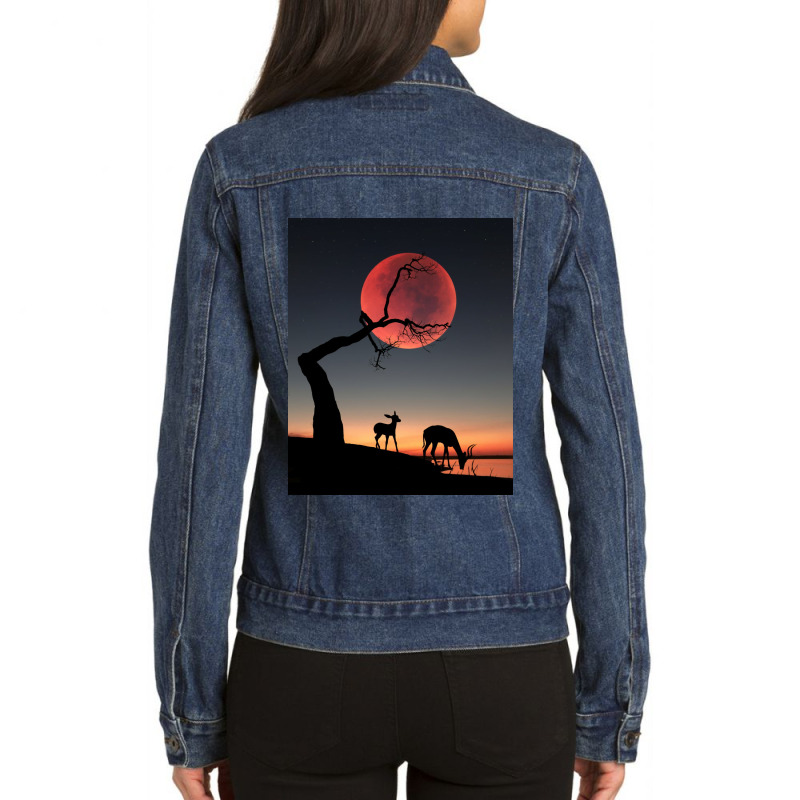 Fullmoon Ladies Denim Jacket | Artistshot