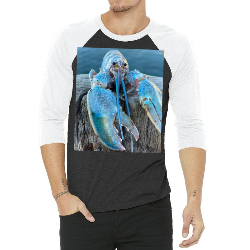 Funny Jumpscare Lobster Meme Blue Crustacean T Shi 3/4 Sleeve Shirt | Artistshot