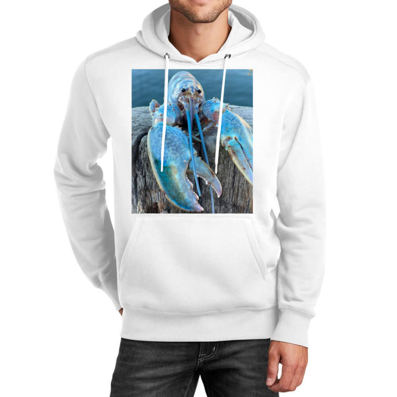 Funny Jumpscare Lobster Meme Blue Crustacean T Shi Unisex Hoodie | Artistshot