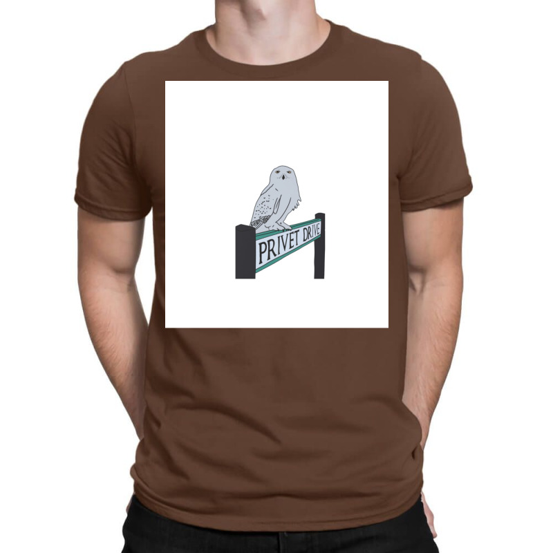 Owl For Wizards Drive T-Shirt by heathybatevam | Artistshot