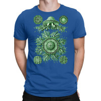 Ernst Haeckel Discomedusae Jellyfish Plate 28 Gree T-shirt | Artistshot