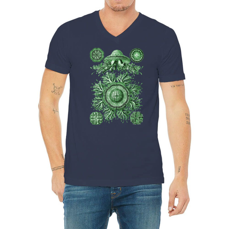 Ernst Haeckel Discomedusae Jellyfish Plate 28 Gree V-Neck Tee by limverjobetg | Artistshot