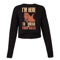 Im Here To Break Your Balls Funny Billiards Gift Cropped Sweater | Artistshot