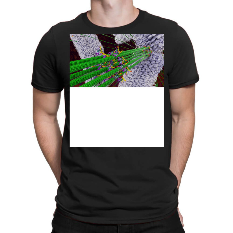 Microtubules During Mitosis Humor T-Shirt by boyzenpragp | Artistshot