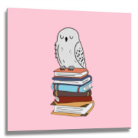 Magic Owl On Books 15 Metal Print Square | Artistshot