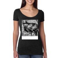 Black And White Bird Girl Women's Triblend Scoop T-shirt | Artistshot