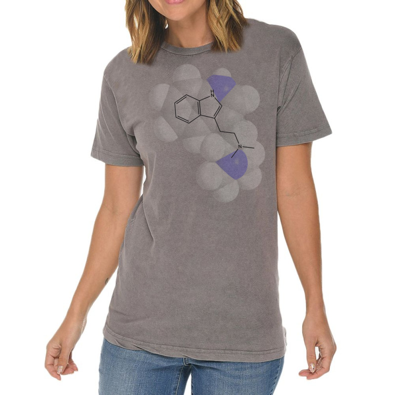 Dmt Molecule Chemistry Hipster Vintage T-shirt | Artistshot