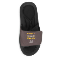 Funny Introverted Zoology Zoologist Aesthetic Slide Sandal | Artistshot