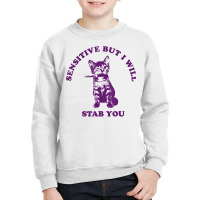 Sensitive But I Will Stab You Funny Cat T Shirt Youth Sweatshirt | Artistshot