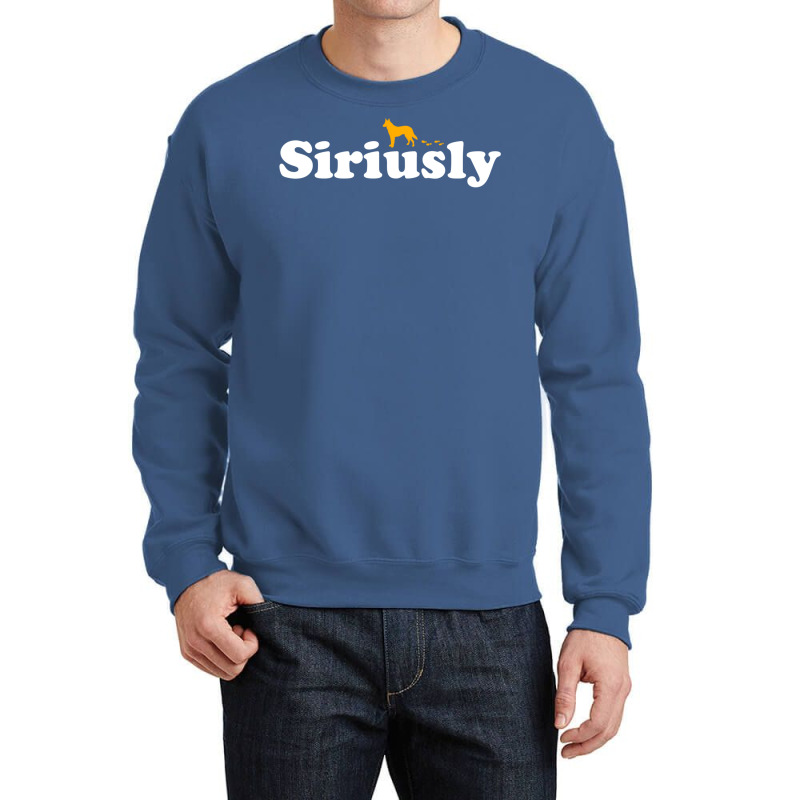 Siriusly 40 Crewneck Sweatshirt by zdinianahilv | Artistshot