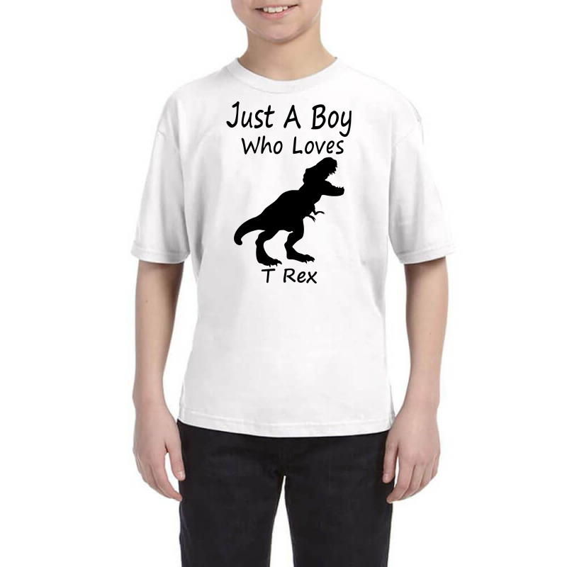 New Just A Boy Who Loves T Rex Silhouette Design Youth Tee | Artistshot