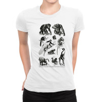 Vintage Monkeys Apes Chimpanzee Primates Evolution Ladies Fitted T-shirt | Artistshot