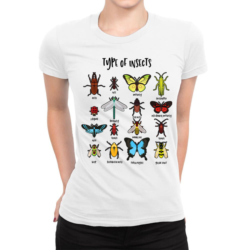 Types Of Insects Study Of Biology Science Bug Iden Ladies Fitted T-Shirt by sudhirka | Artistshot