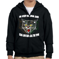 Angry Cat Iâ€™m Very Normal And Cool And Chil Youth Zipper Hoodie | Artistshot